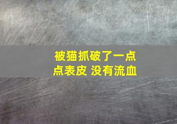 被猫抓破了一点点表皮 没有流血